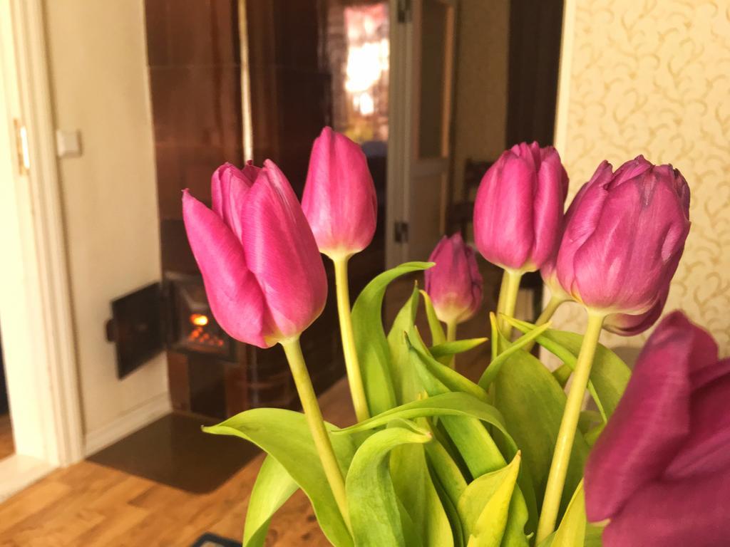 Prenzel Apartments Пярну Екстериор снимка